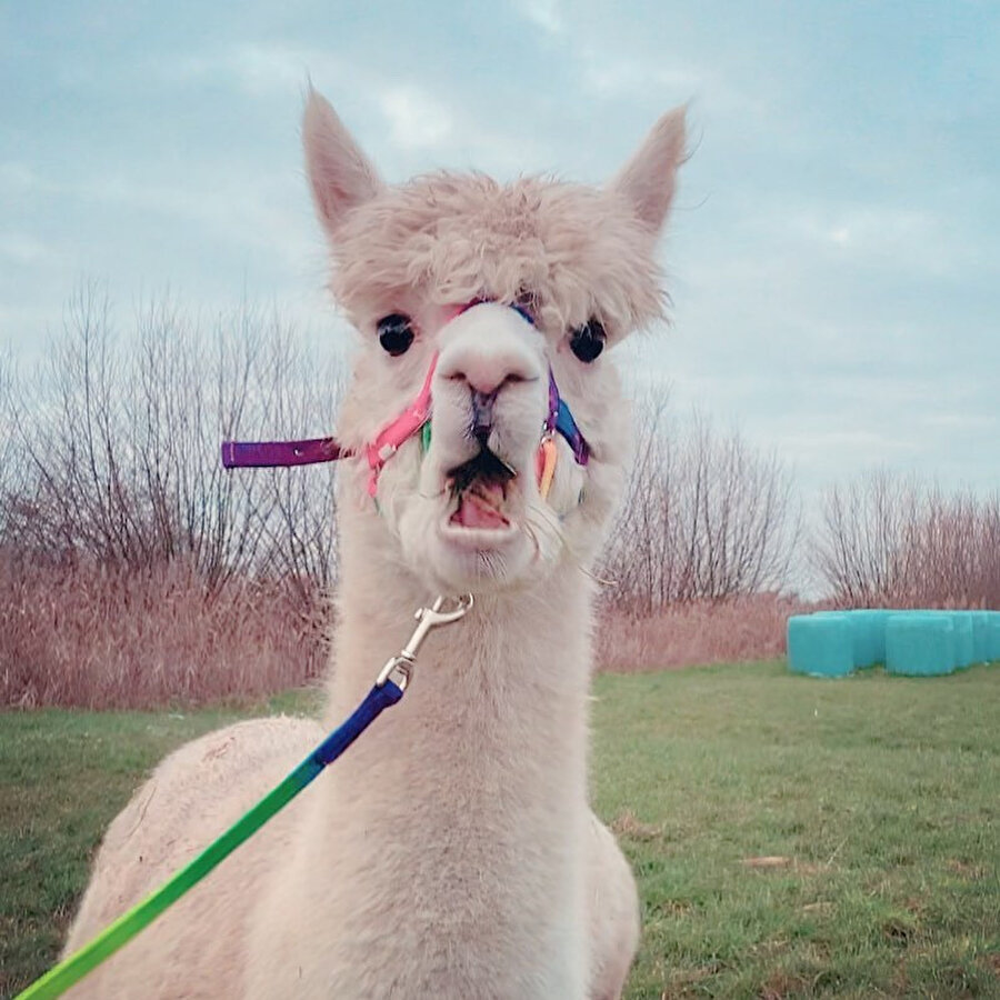 En sevdiğim tişörtüm kirli sepetindedir
