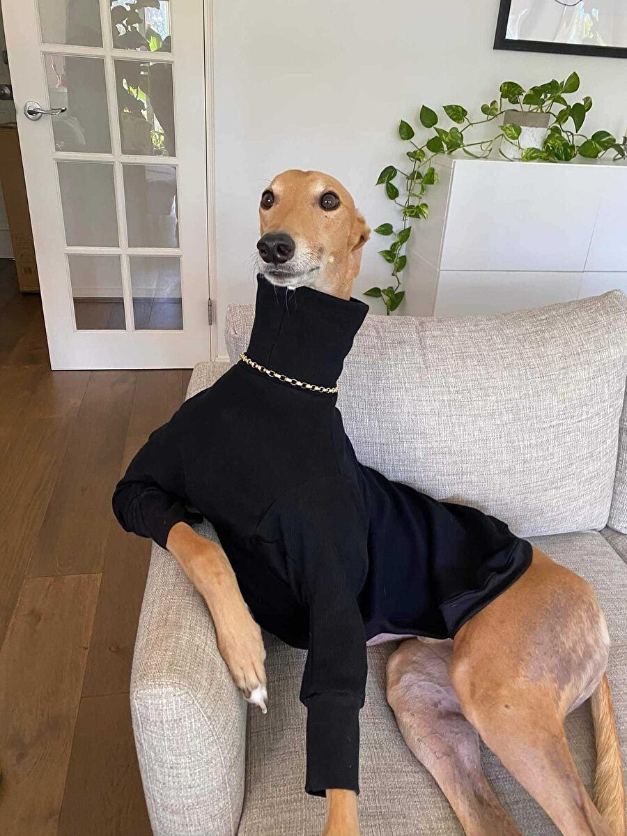 Kolyelerimiz savaşsın isterdim ama görüyorum ki silahsızsınız