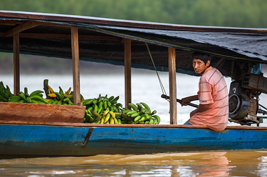 Amazon yağmur ormanları, Amazon Havzası'nın çoğunu kaplayan bir yağmur ormanıdır.