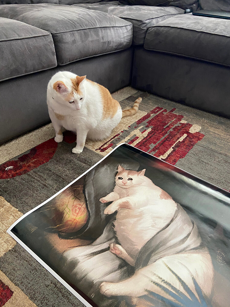 Kilolu çıktığım fotoğraflara bakıyorum