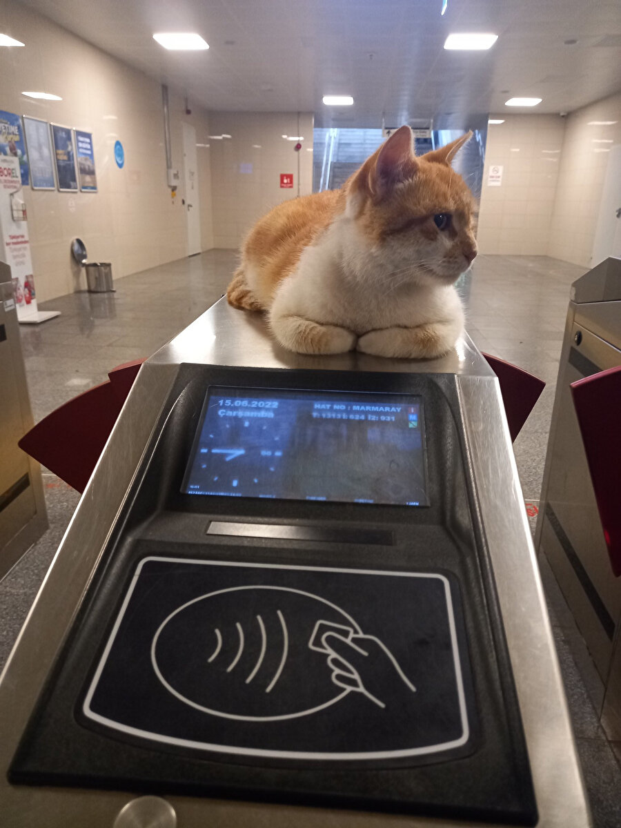 İndirimli basıyoruz diye yüzümüze bakmıyor