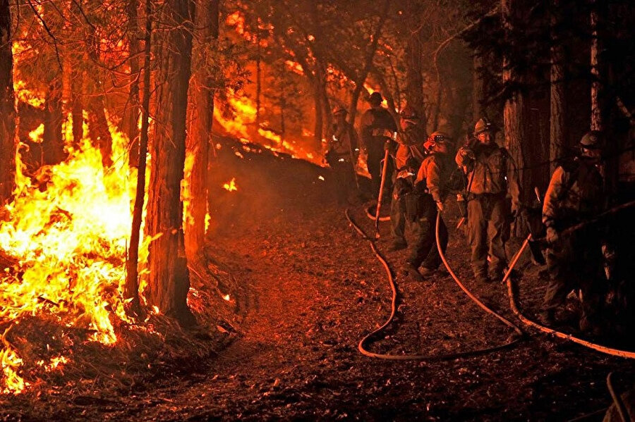 Geçtiğimiz yıl ABD'nin Kaliforniya eyaletinde meydana gelen yangını sördürme çalışmaları.