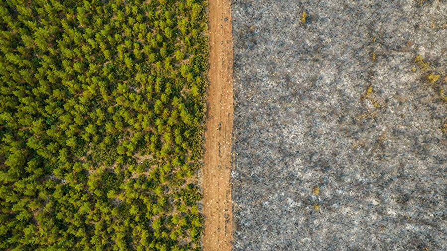Yangın emniyet şeridi çekilen bölge