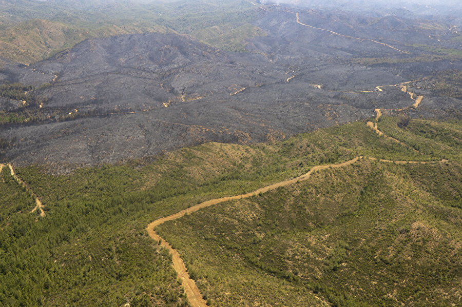 Yangın bölgesi havadan görüntülendi