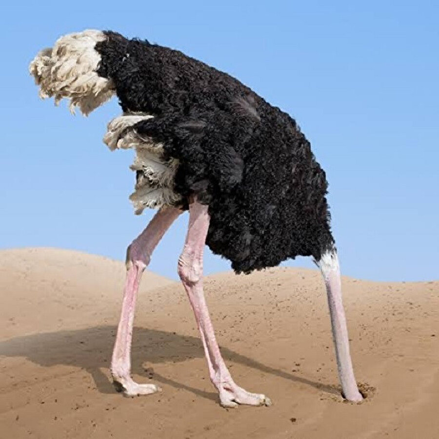 Bisküvi yerken arkadaşımı gördüm