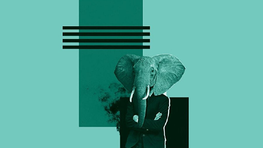 Temsili resim fotoğraf, daha sonra da filmler popülerleştikçe daha da aranan bir şey olur.
