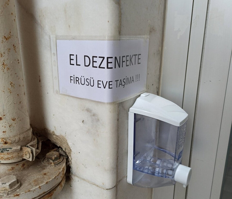 Firüsü eve taşıyacağım!