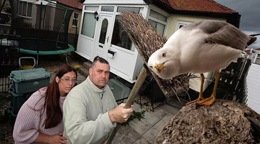 Dave-Nicki Baker çifti