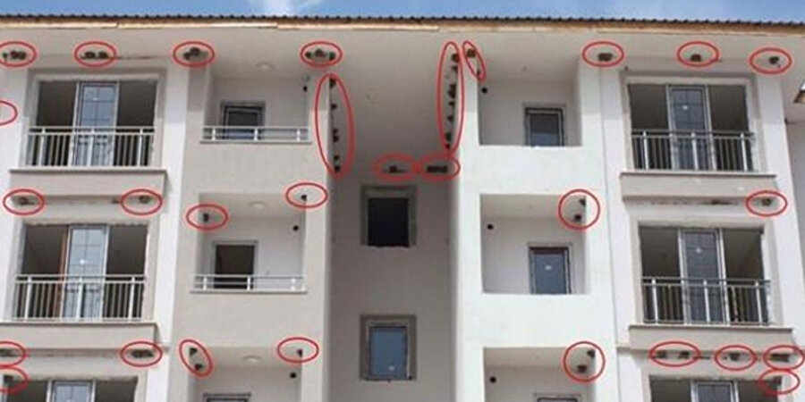 200'e yakın kırlangıç yuva yaptı.