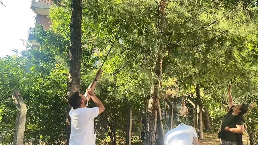 Bağcılar'da şaşkına çeviren olay: Nereden geldiği bilinmiyor, iki saatte yakalandı