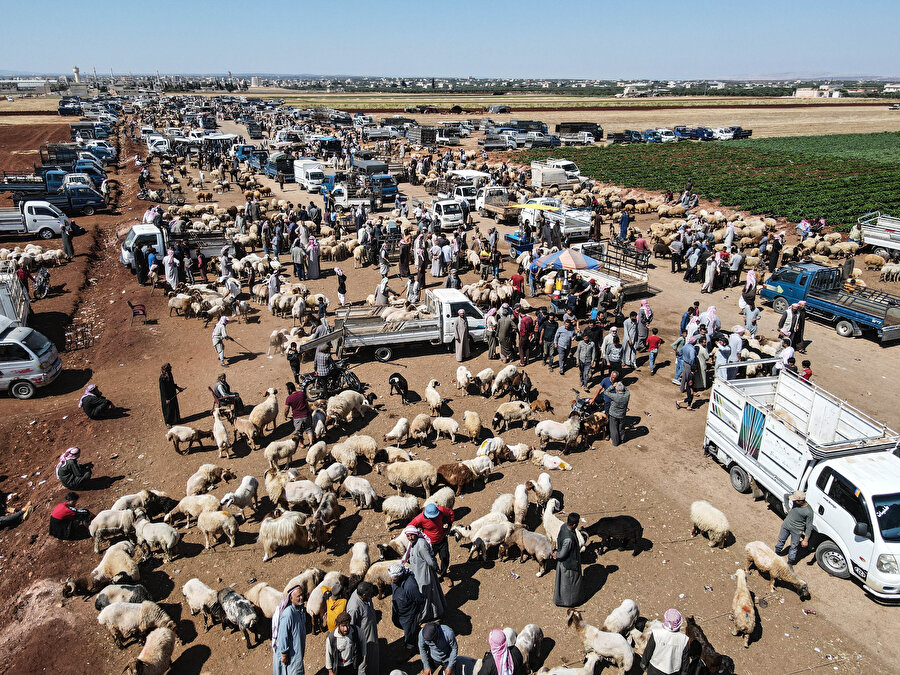 Kurban Bayramı'nı ateşkesin getirdiği kısmi güven ortamında karşılayan sivillerin büyük çoğunluğunun, iç savaş ve hayat pahalılığı nedeniyle kurban kesme imkanı yok.