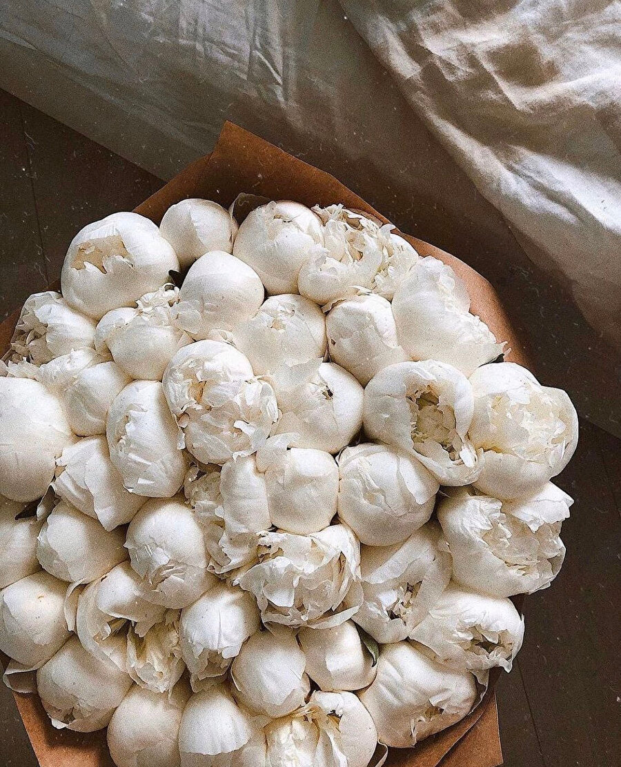 Uzun yol molasında 2 kutu pişmaniye almışımdır​