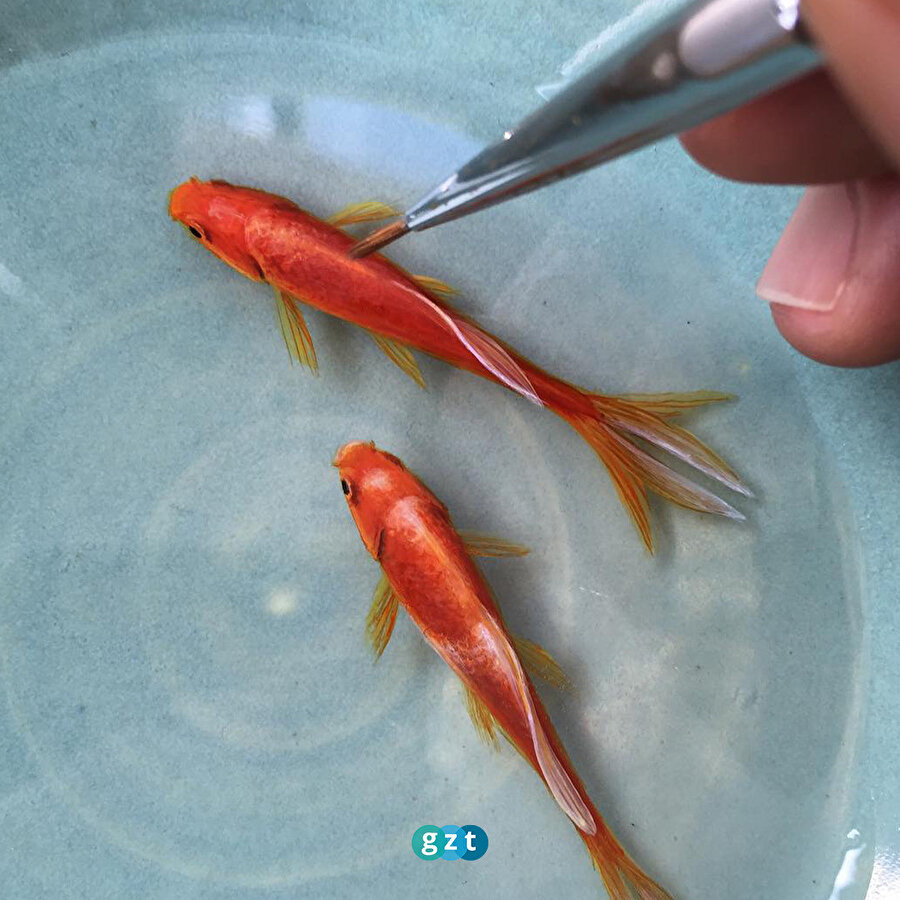 Gerçek gibi, ama değil 🐬