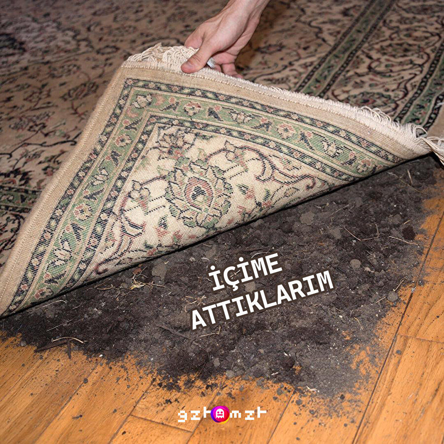 Başak burçları temsili