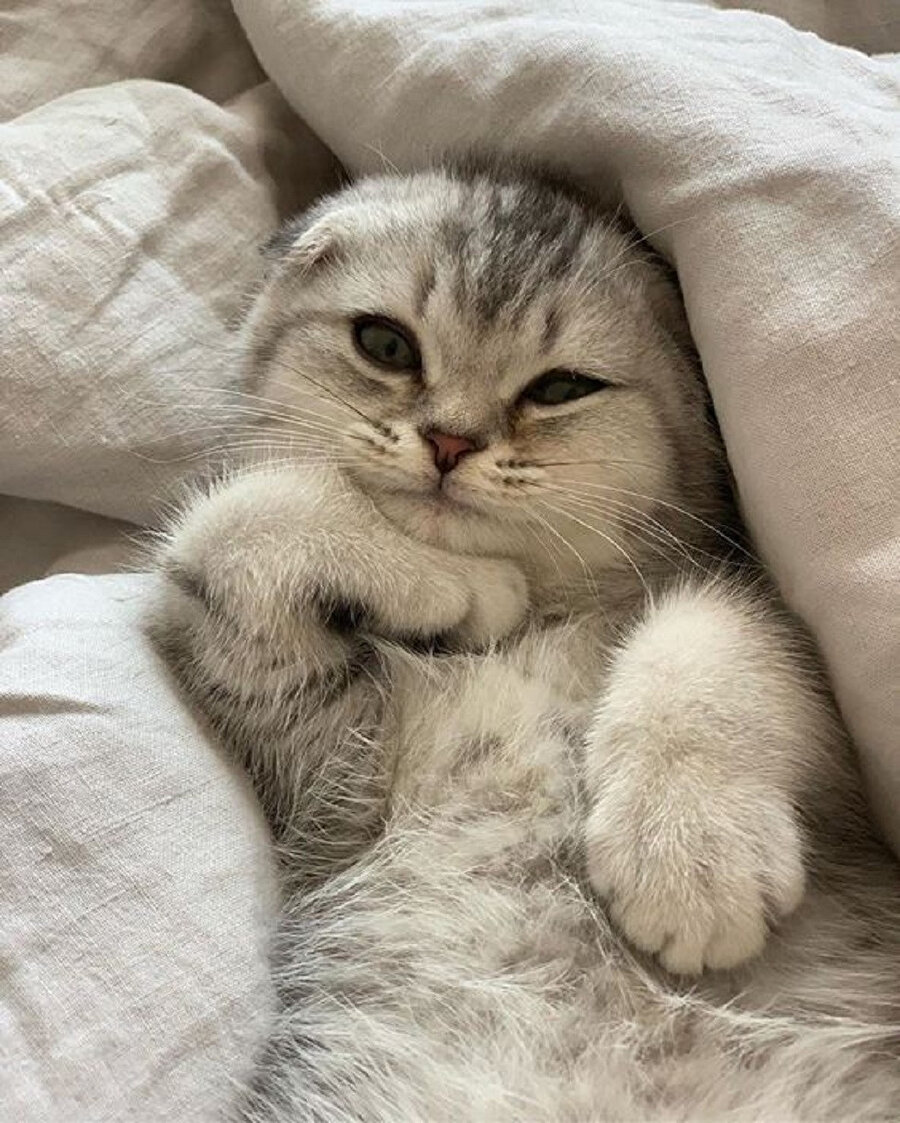 Sürekli eli çenesinde poz veren kızlar