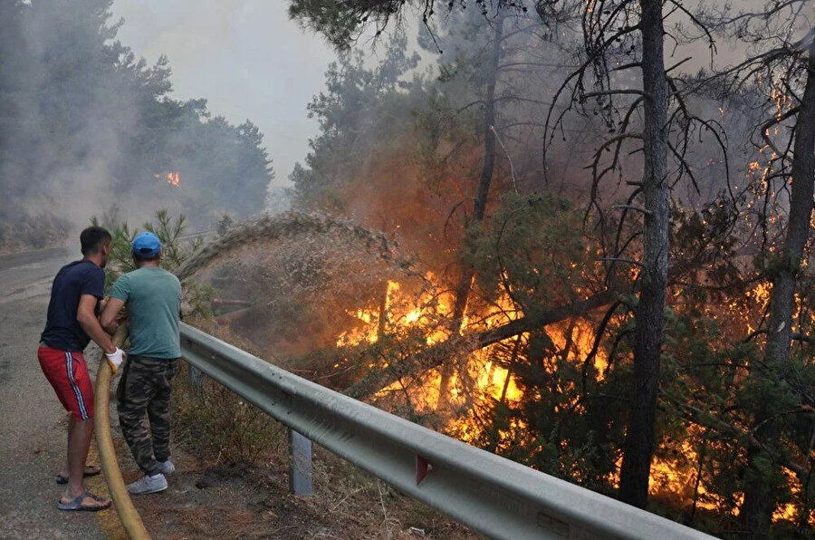 Datça'daki yangına havadan ve karadan müdahale edildi 