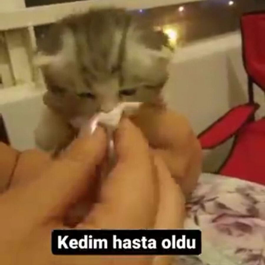 Kalbimizi bıraktık