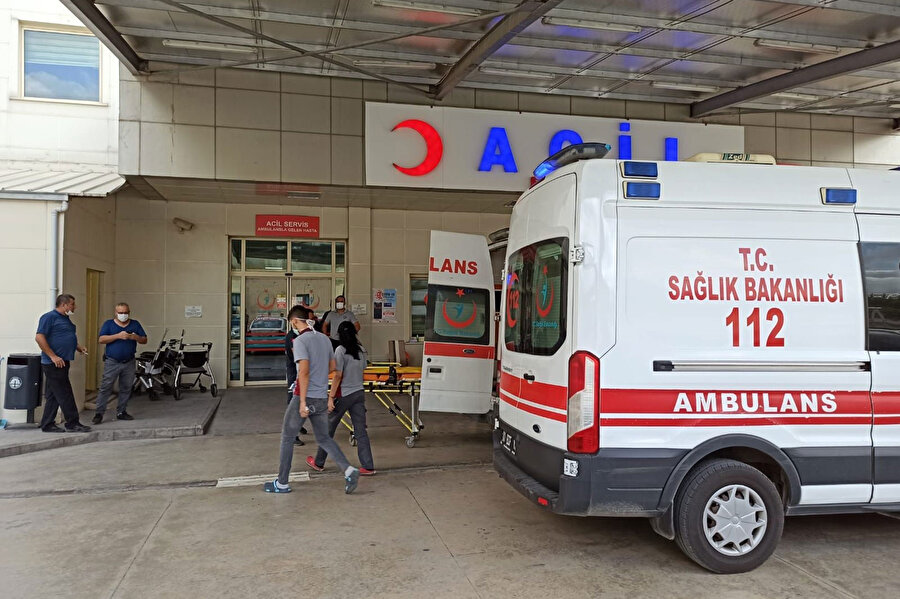 Arşiv