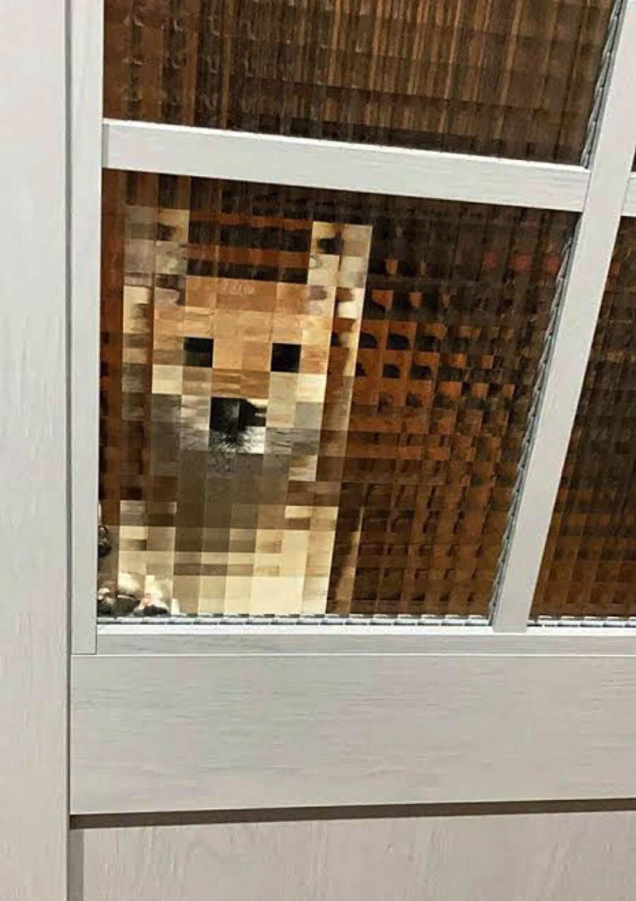 ​Biri bizi gözetliyor