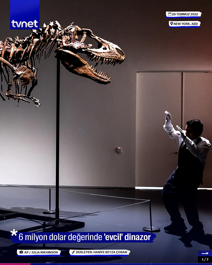 6 milyon dolar değerinde 'evcil' dinazor