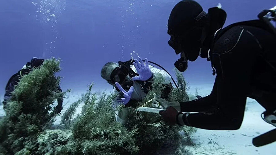Batan geminin hazineleri ortaya çıktı: Hepsi çok değerli