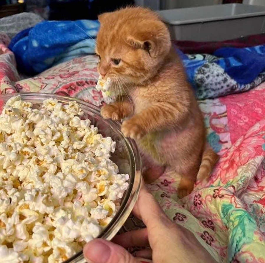 ​Sen film seç ben geliyorum