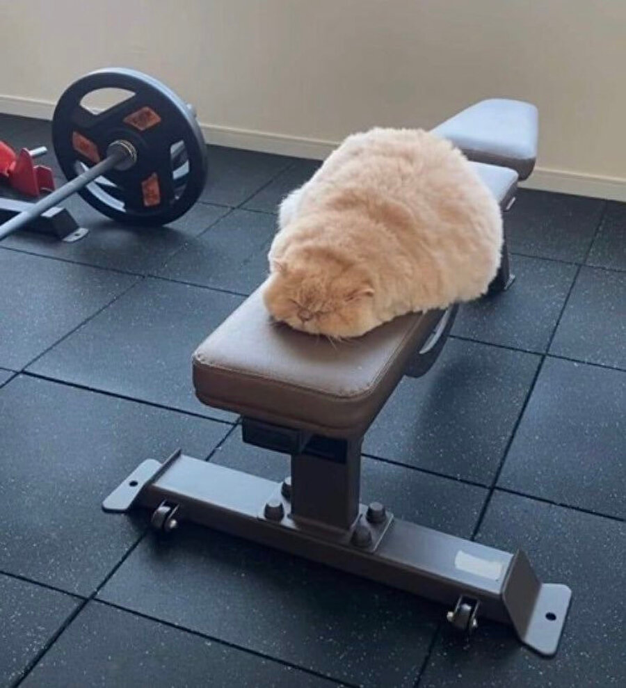 ​Setler arası molada uyuyakalan ben