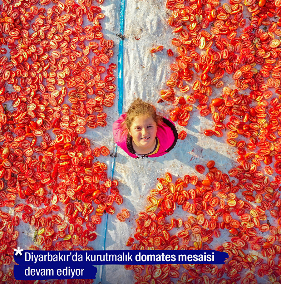 Diyarbakır'da kurutmalık domates mesaisi devam ediyor