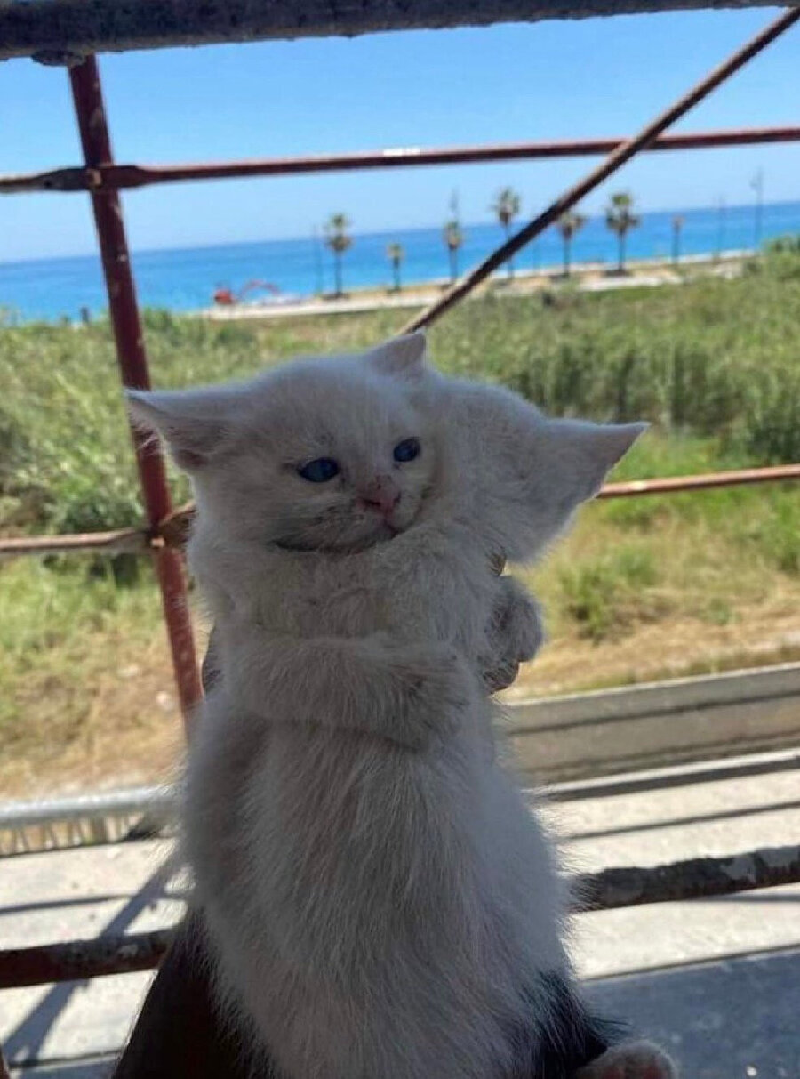 ​Ben hep senin yanında değil miyim