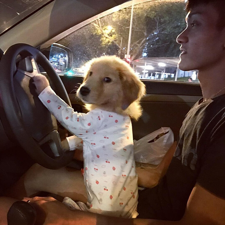 Daha iyi şoför yok