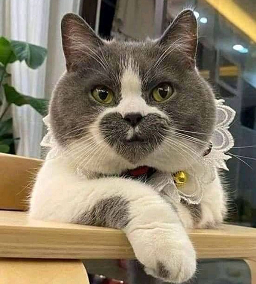 ​Beğenmek için çift tıklayın