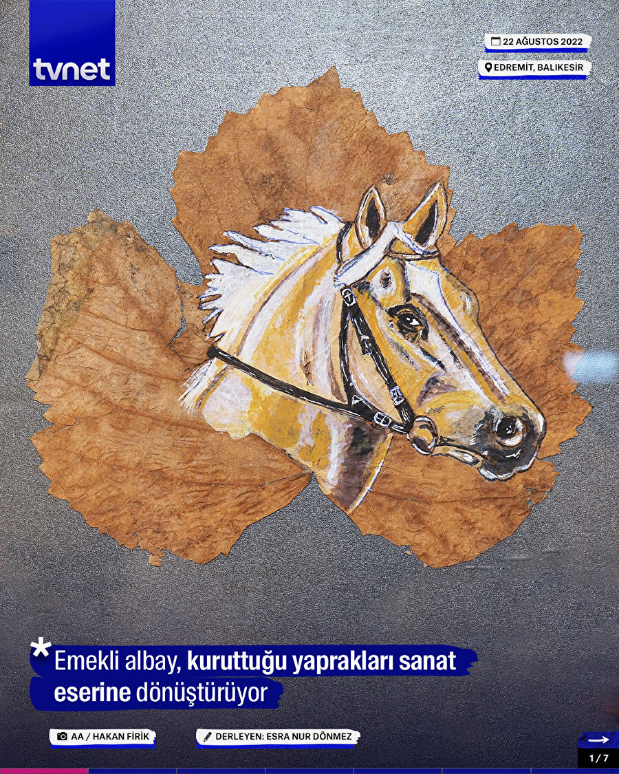 Emekli albay, kuruttuğu yaprakları sanat eserine dönüştürüyor