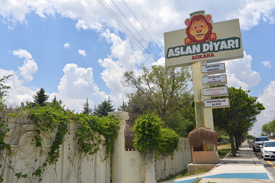 Ankara'da mahalle arası hayvanat bahçesi: Komşular kükremelerden rahatsız