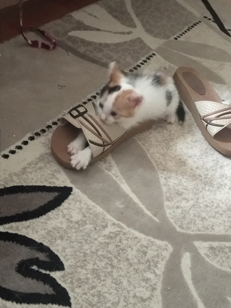 ​Büyük numara terlik giyince hissettiğim