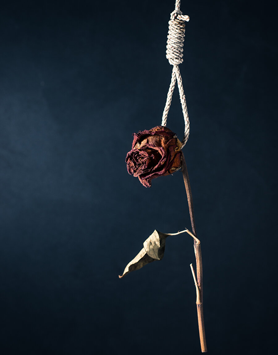 Bir ağustos sabahı, İkinci Dünya Savaşı’nın ilanından yaklaşık bir gün önce başlayan roman toplamda yirmi dört saatlik bir zaman diliminde geçer ve savaşın ilan edilmesiyle son bulur.