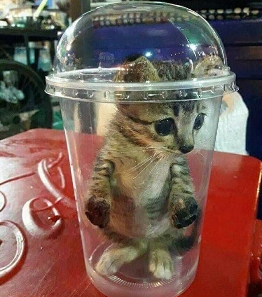 Aroması bol olsun ben acı içemiyorum