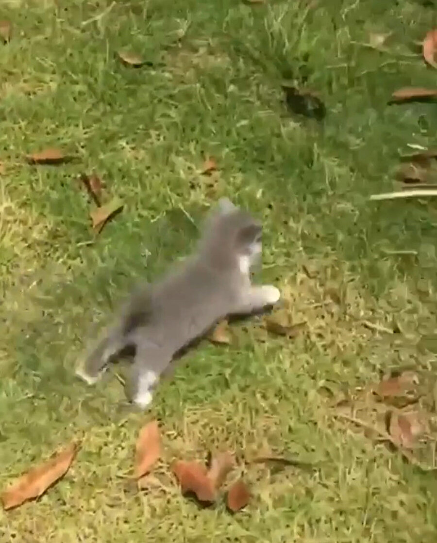 ​Otobüsün peşinden koşarken cama yansıyan görüntüm