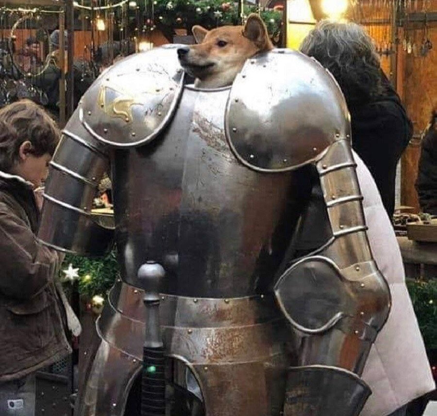 Dikkat köpek var yazısının verdiği vibe