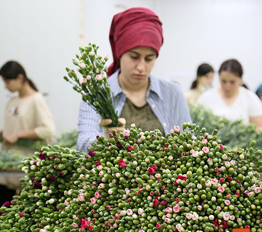Elizabeth'in  yas çiçeği Türkiye'den sipariş edildi