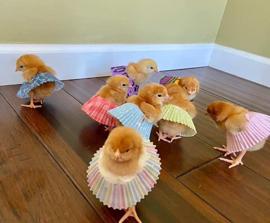 ​Okulun ilk günü kreşin bahçesi