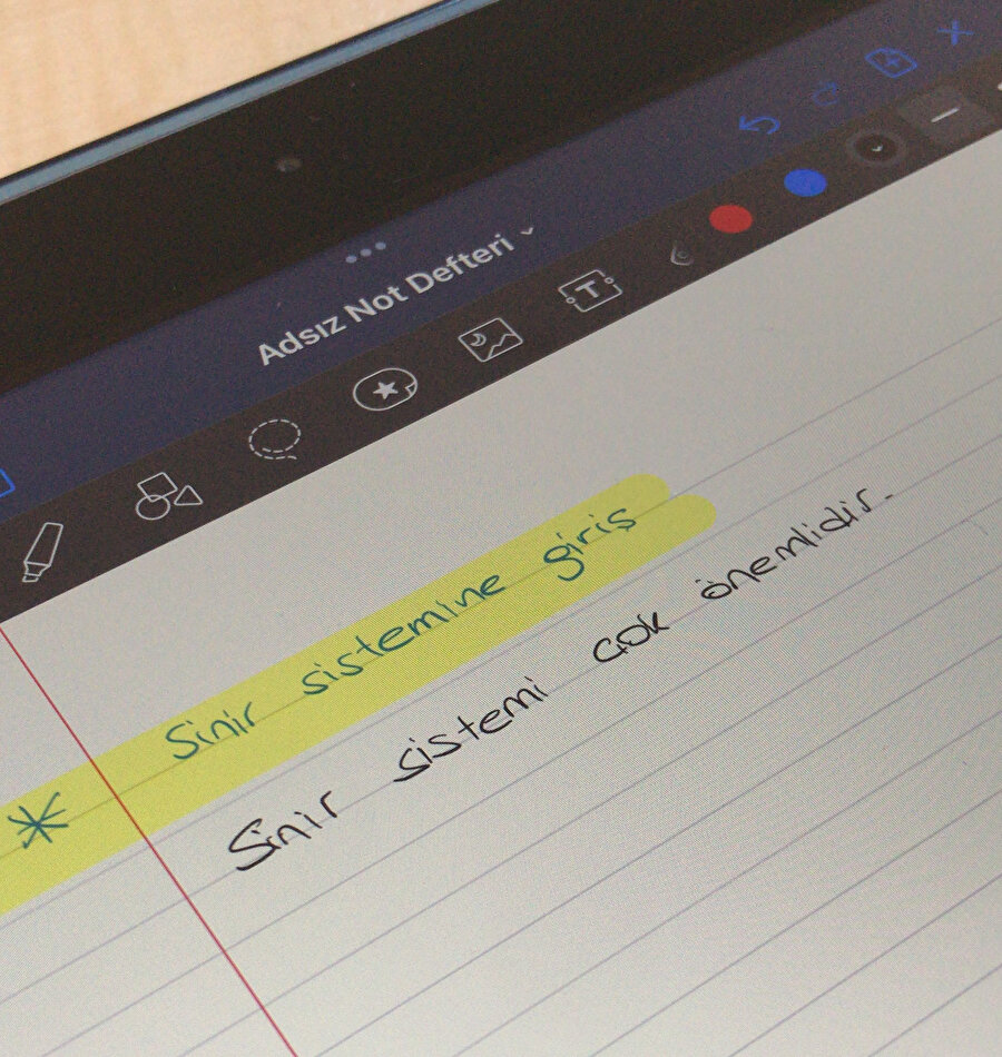 Düz mantık öldürür