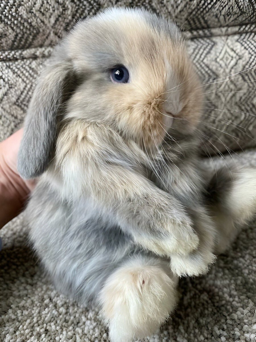 Annem pazar giderken beni komşuya bırakmıştır