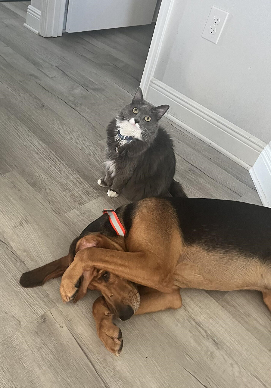 Babamla​r eve gelince erkek kardeşim