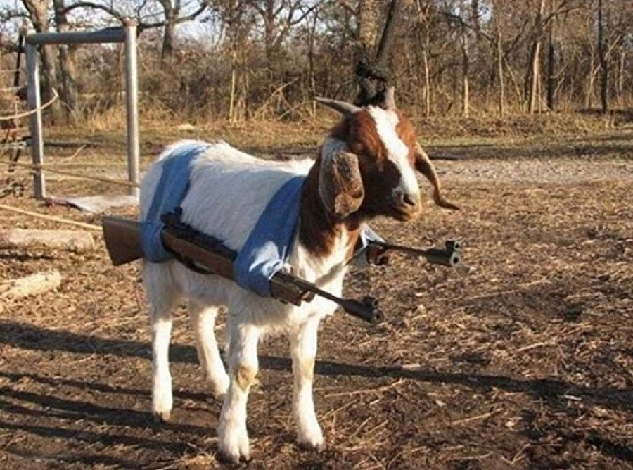 Kafa atmam, tararım!