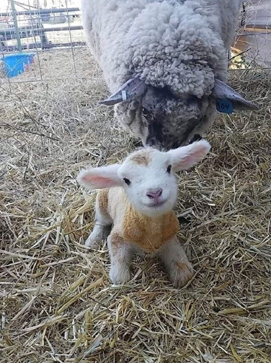 Güzel çıktığım fotoğrafta en yakın arkadaşım