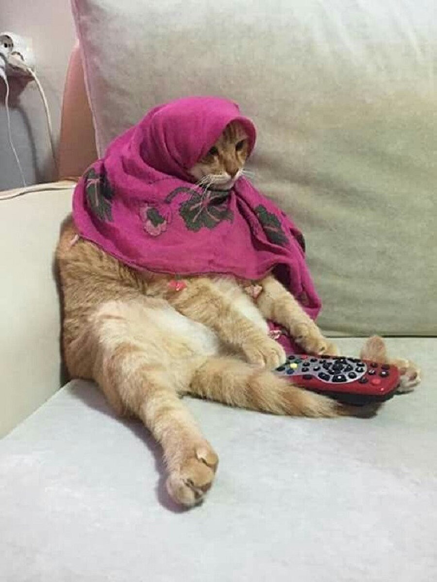 Guzum dur değiştirme sevdiğim hoca çıktı