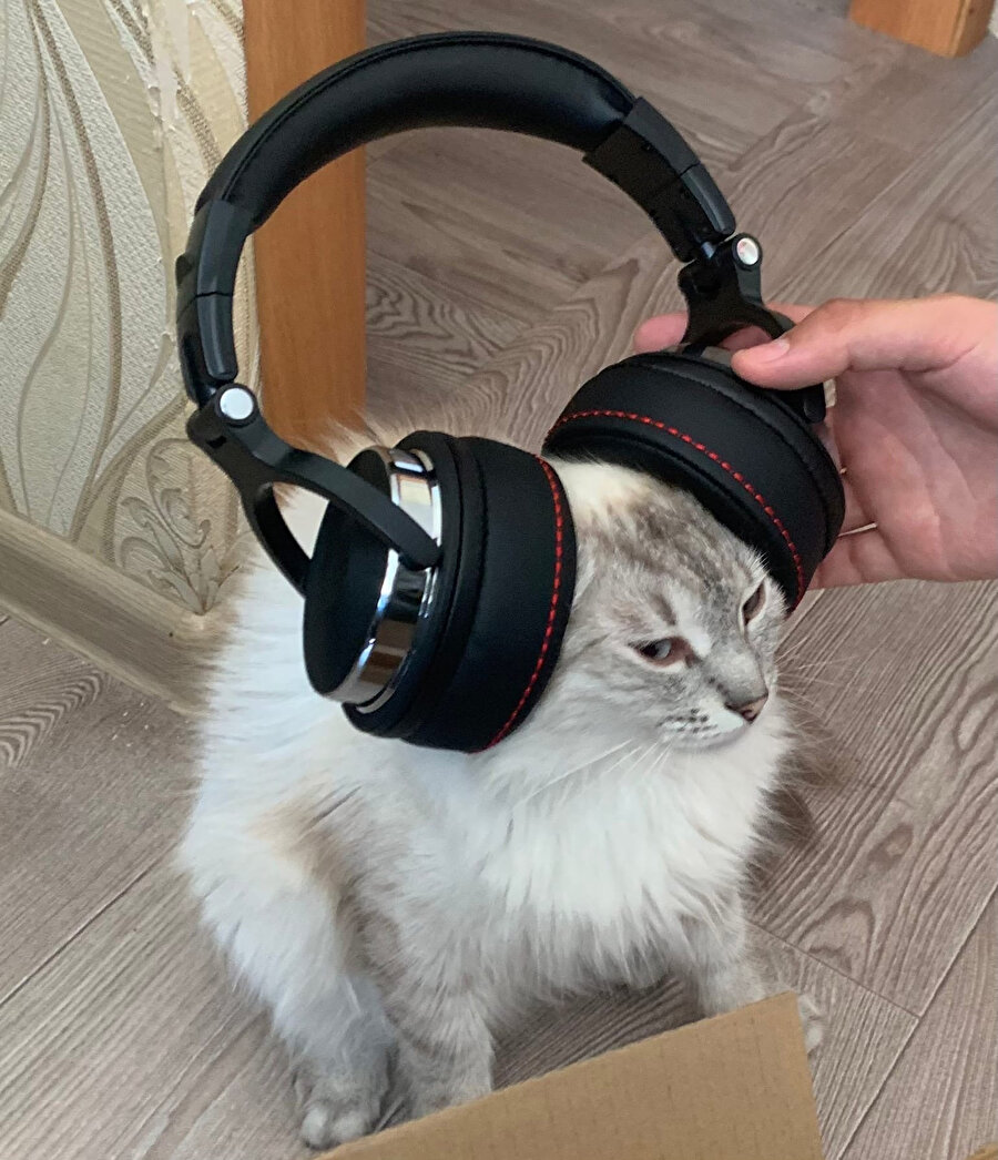 ​Ayıp olmasın diye kankamın çok güzel dediği şarkıyı dinliyorum