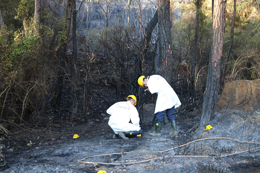 Marmaris'teki orman yangını 19 saat sonra kontrol altında
