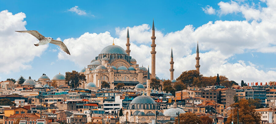 Süleymaniye Camii 27,40 metre çapında merkezi bir kubbeyle örtülmüştür. Bu kubbe Osmanlıların İstanbul’da inşa ettiği en büyük kubbedir.