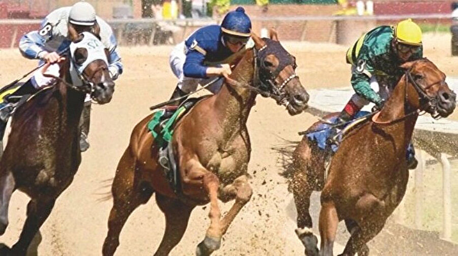 Ben atlara ve uzaklara hayrandım(İsmet Özel)